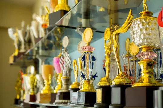 🌟 我们的愿景